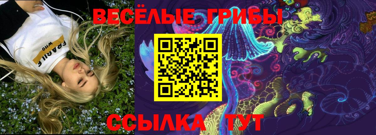 что такое   Галлюциногенные грибы Psilocybe  Вход с VPN  Псилоцибиновые грибы ЛСД  Стрежевой 